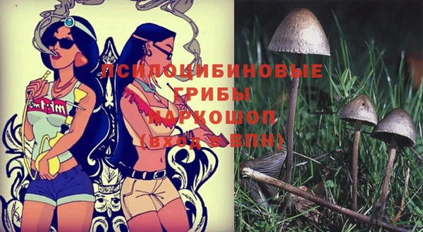 MDMA Алексеевка